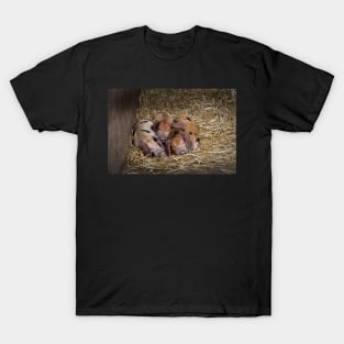 Let Sleeping Piglets Lie T-Shirt